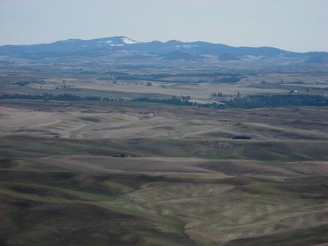 The Palouse Hills